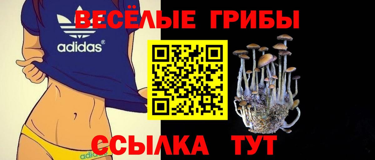 Галлюциногенные грибы GOLDEN TEACHER Муром