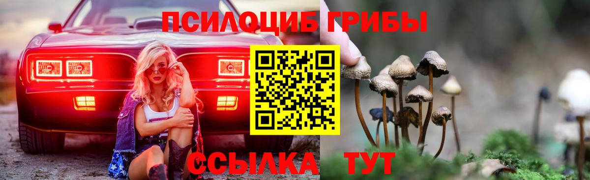 Галлюциногенные грибы Psilocybine cubensis  Вход с VPN  цена наркотик  Муром 